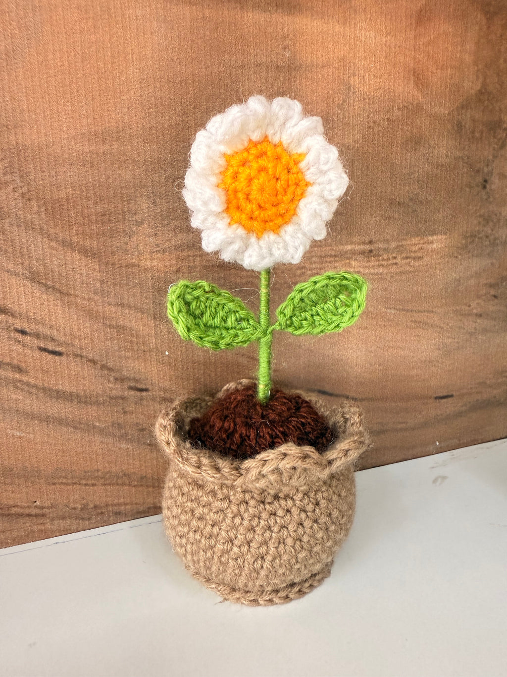 Daisy Pot