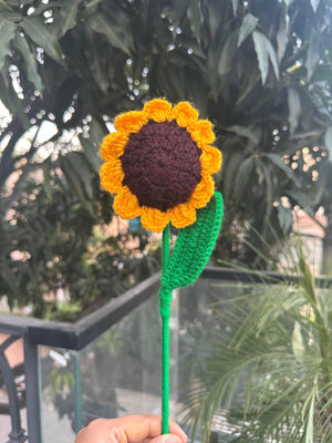 Sun Flower