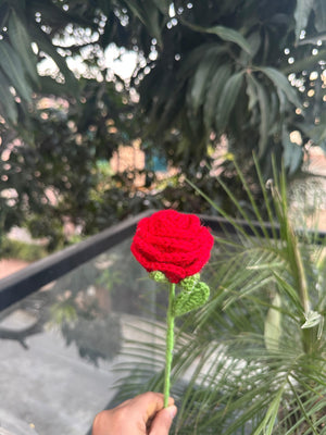 Red Rose