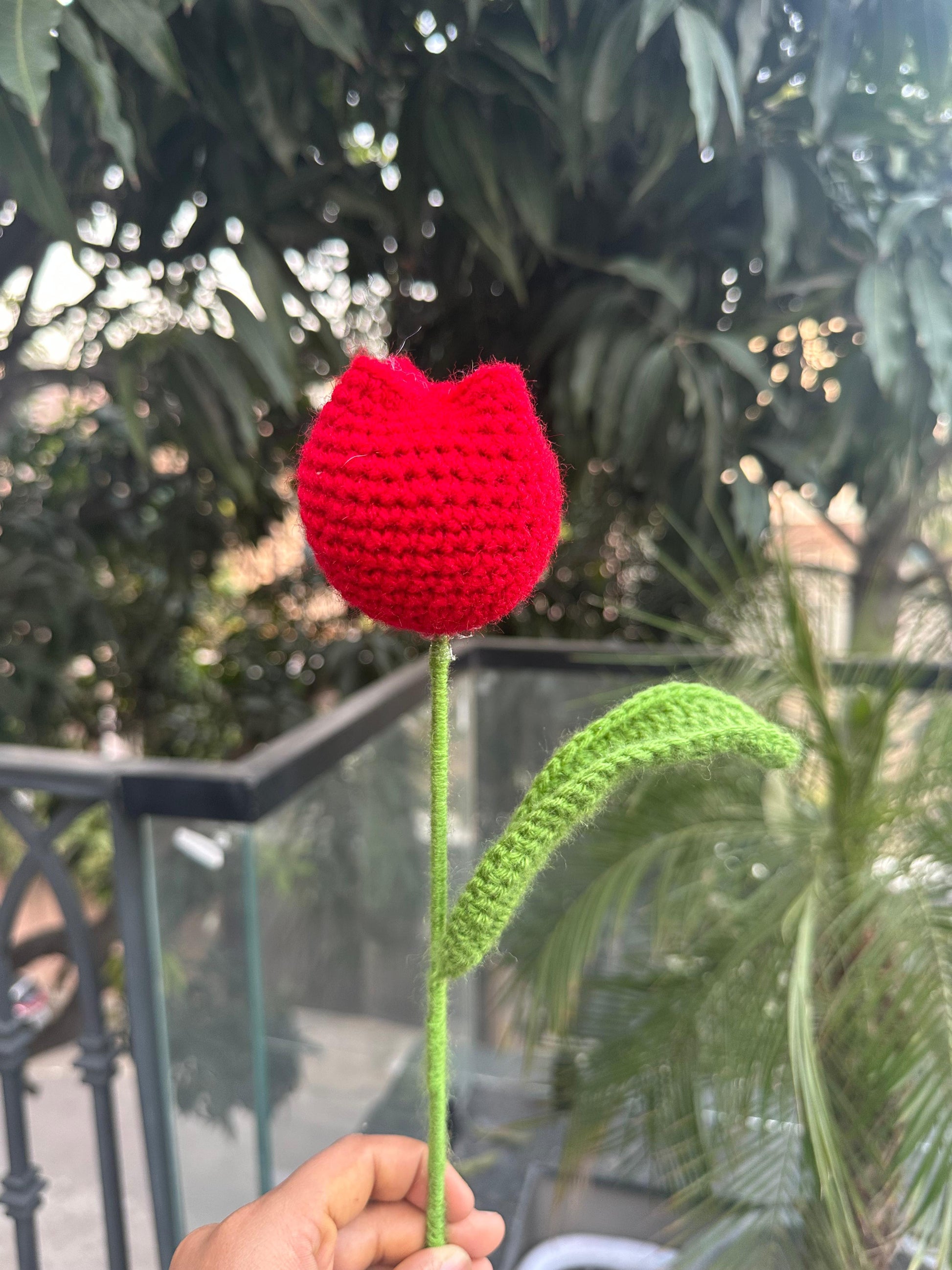 Red Tulip