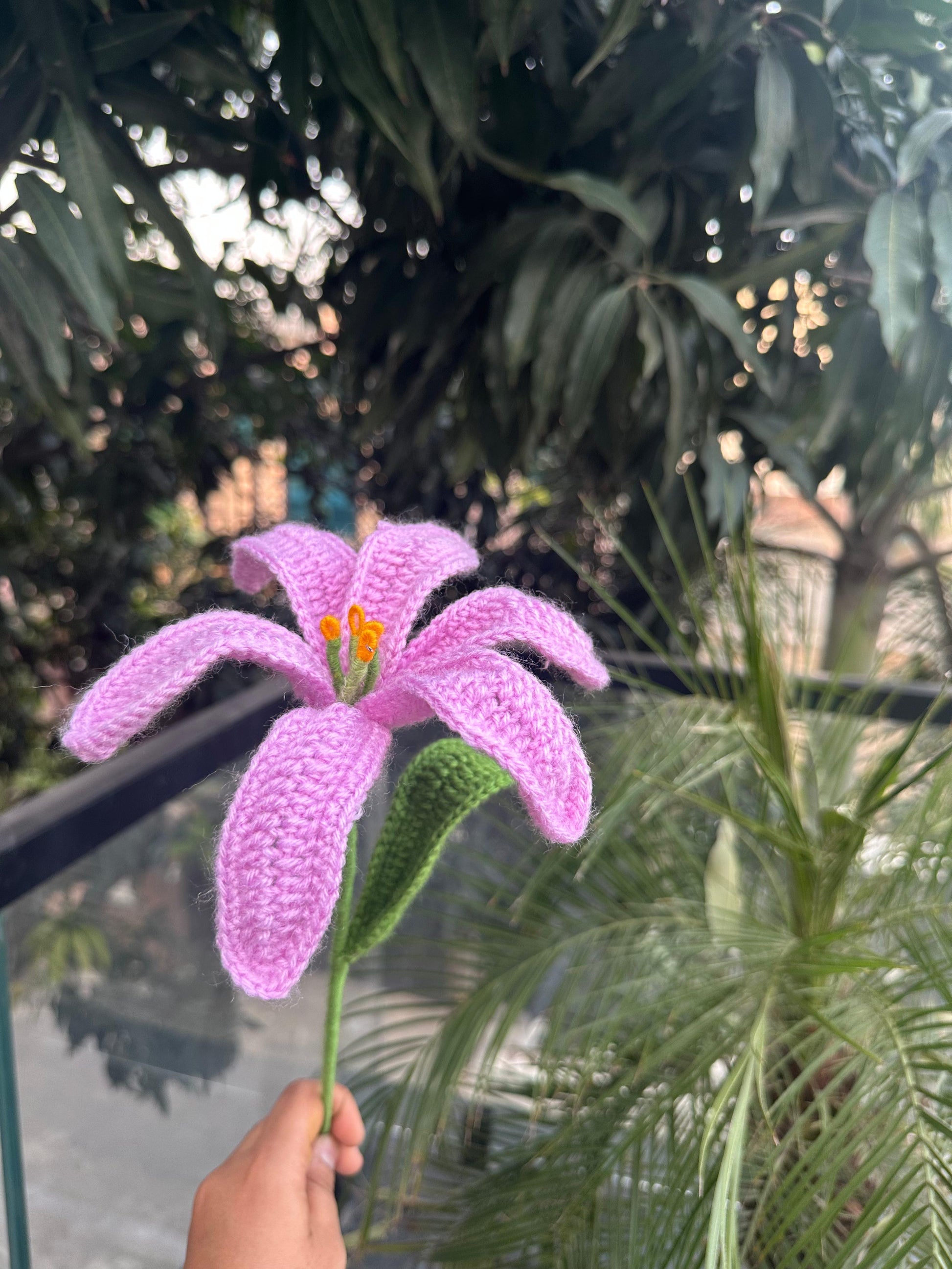 Lavender Lily